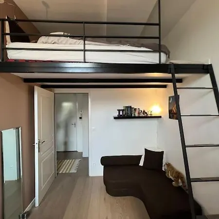 Superbe Loft Climatise Avec Terrasse A 4 Km Jo Daire Suresnes