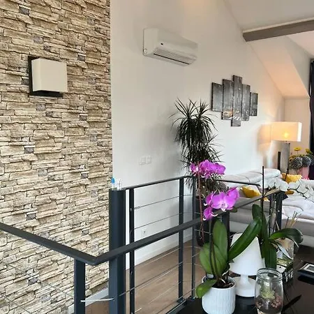 Superbe Loft Climatise Avec Terrasse A 4 Km Jo *