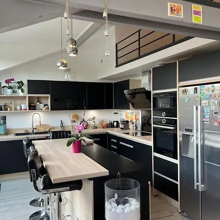 Superbe Loft Climatise Avec Terrasse A 4 Km Jo *
