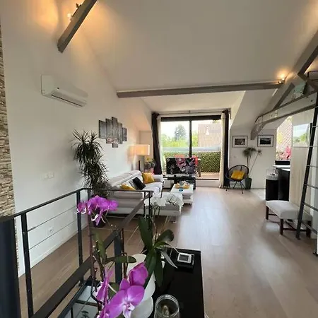 Superbe Loft Climatise Avec Terrasse A 4 Km Jo Daire